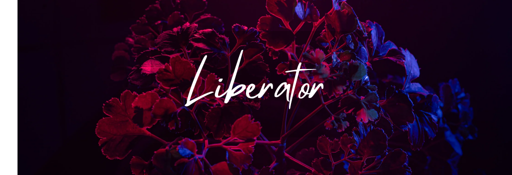 Liberator - Sex Furniture